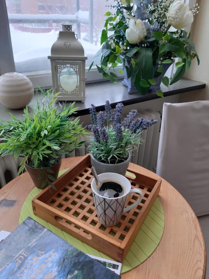 Pitea Vandrarhem المظهر الخارجي الصورة